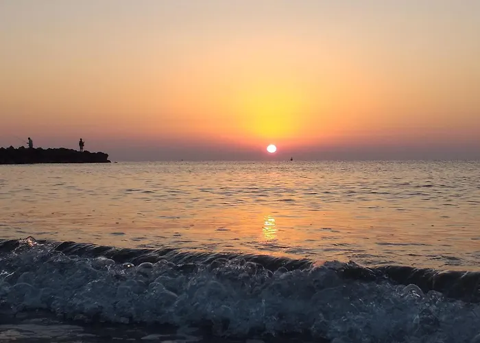 Sunrise Vera-Naturista